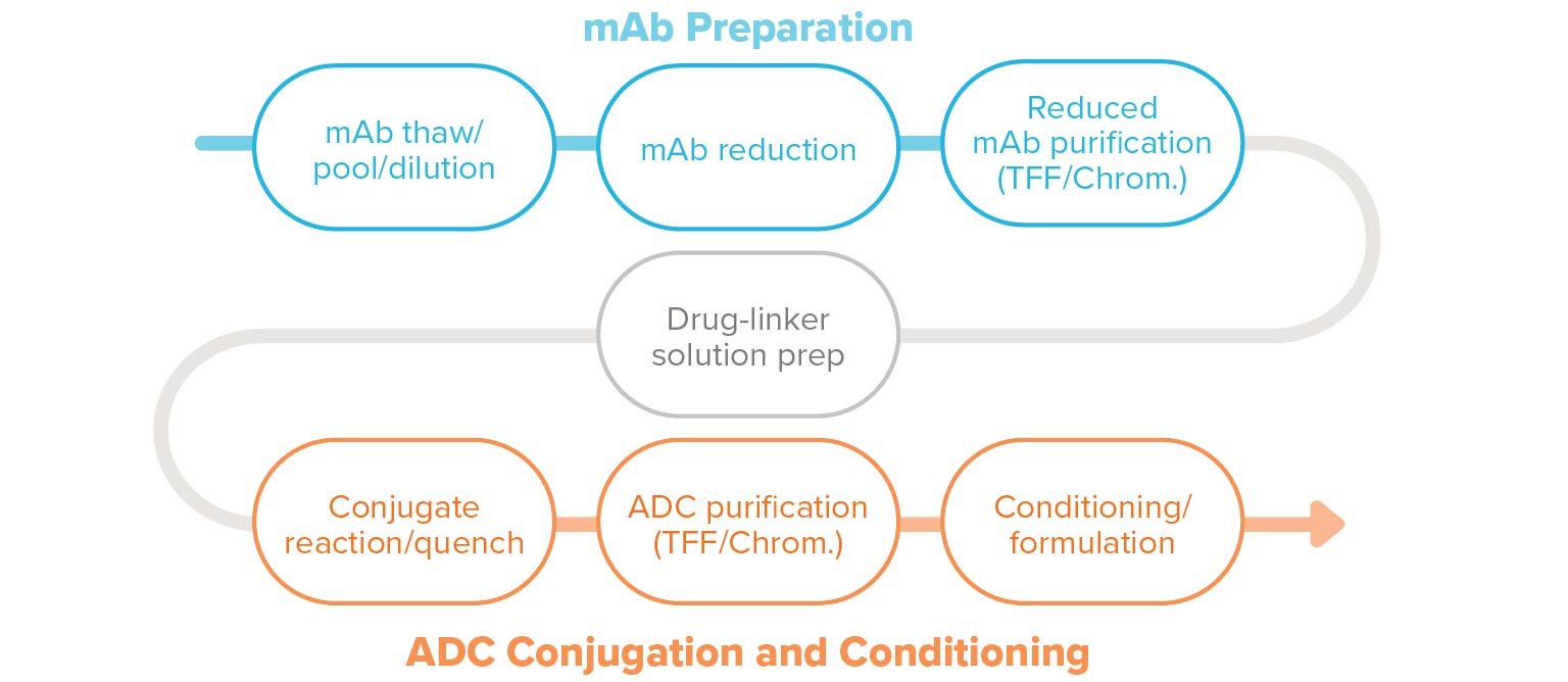 Targeted therapies: An introduction to ADC manufacturing | CRB